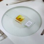 14.01.2022. Kielce. "Noc Biologów" na Uniwersytecie Jana Kochanowskiego / Wiktor Taszłow / RadioKielce