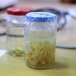 14.01.2022. Kielce. "Noc Biologów" na Uniwersytecie Jana Kochanowskiego / Wiktor Taszłow / RadioKielce