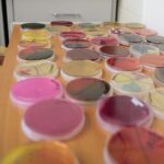 14.01.2022. Kielce. "Noc Biologów" na Uniwersytecie Jana Kochanowskiego / Wiktor Taszłow / RadioKielce