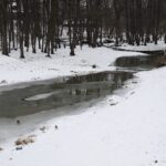 25.01.2022. Bodzentyn / Wiktor Taszłow / Radio Kielce