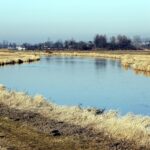 Rzeka Nida / Jarosław Kubalski / Radio Kielce