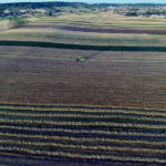 02.08.2017 Pola pod Pińczowem. / Jarosław Kubalski - Radio Kielce / Akcja żniwa.