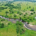 Rzeka Nida / Jarosław Kubalski / Radio Kielce