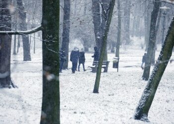 26.12.2020 Kielce. Park.  Zima. Spadł śnieg / Jarosław Kubalski / Radio Kielce