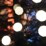 15.01.2022  Kielce. Kościół garnizonowy. Koncert laureatów X Międzynarodowego Konkursu Kolęd, Pastorałek i Piosenek Świątecznych. Na zdjęciu Lena Małodzińska / Jarosław Kubalski / Radio Kielce