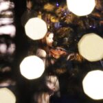 15.01.2022  Kielce. Kościół garnizonowy. Koncert laureatów X Międzynarodowego Konkursu Kolęd, Pastorałek i Piosenek Świątecznych.  Na zdjęciu Apolonia Jakubczyk / Jarosław Kubalski / Radio Kielce