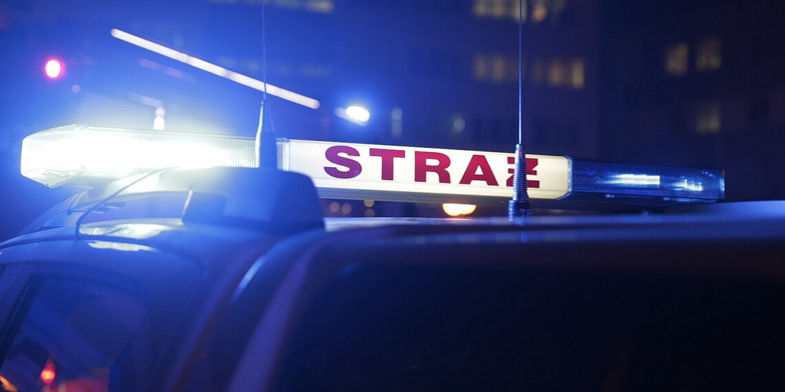 Pożar w restauracji. W akcji siedem zastępów straży