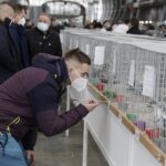 29.01.2022 Targi Kielce. Wystawa gołębi rasowych / Jarosław Kubalski / Radio Kielce