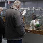 30.01.2022. Kielce. Targi Kielce. Krajowa Wystawa Gołębi Rasowych i Drobnego Inwentarza / Jarosław Kubalski / Radio Kielce