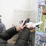 29.01.2022 Targi Kielce. Wystawa gołębi rasowych / Jarosław Kubalski / Radio Kielce