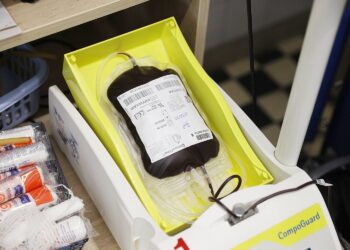 Uczniowie i studenci mogą honorowo oddać krew