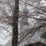 16.01.2022 Lipa w gminie Ruda Maleniecka. Kościół / Dariusz Blachliński, ks. Tomasz Waśkiewicz / wawrzyniec-lipa.pl