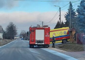 15.01.2022. Chełmce. Służby ratownicze na miejscu zdarzenia / OSP KSRG Promnik