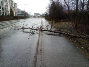 30.01.2022. Skutki silnego wiatru w regionie / Straż Pożarna