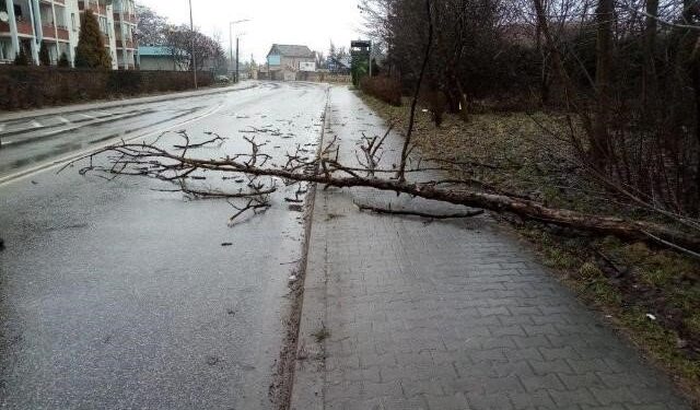 30.01.2022. Skutki silnego wiatru w regionie / Straż Pożarna