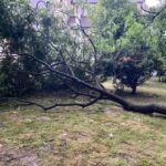 24.06.2021. Skalbmierz. Zalane miasto / Urząd Miasta i Gminy w Skalbmierzu