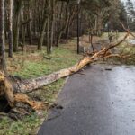 30.01.2022. Świętokrzyskie. Skutki przejścia orkanu Malik / Storm