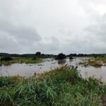 06.08.2021. Solec-Zdrój. Ulewne deszcze zalały ulice i pola / Marcin Marszałek / Radio Kielce