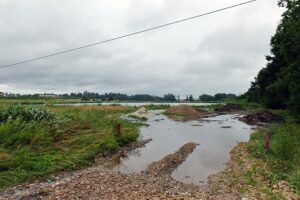 06.08.2021. Solec-Zdrój. Ulewne deszcze zalały ulice i pola / Marcin Marszałek / Radio Kielce