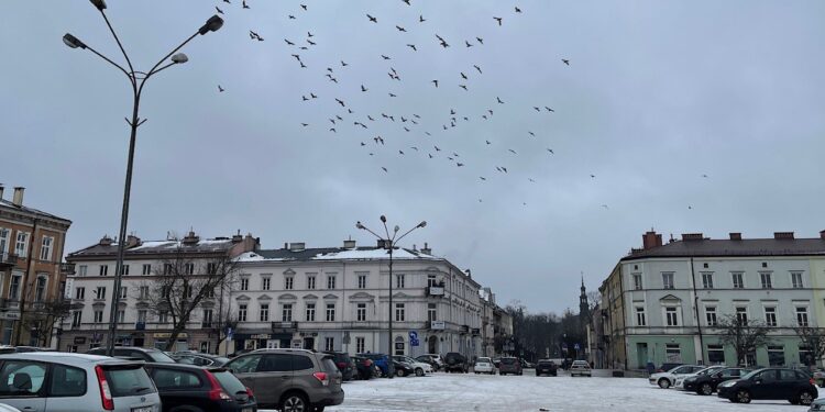 25.01.2022. Kielce. Plac Wolności / Wiktor Taszłow / Radio Kielce