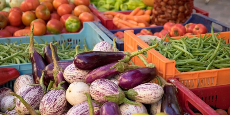 Świętokrzyski Ośrodek Doradztwa Rolniczego w Modliszewicach monitoruje ceny warzyw w województwie świętokrzyskim. Oto lista cen targowych najpopularniejszych warzyw dostępnych na naszym rynku.