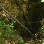 Leśna kopalnia rudy ,,Ludwik". Dół kopalniany. Szyb kopalniany / turysta.swietokrzyski.eu