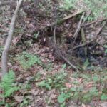 Leśna kopalnia rudy ,,Ludwik". Dół kopalniany. Pozostałości szybu kopalnianego / turysta.swietokrzyski.eu