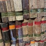 26.02.2022. Sandomierz. Muzeum Diecezjalne. Księgi drzewne / Grażyna Szlęzak-Wójcik / Radio Kielce