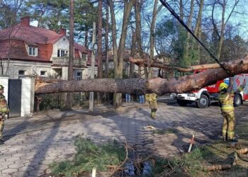 Szósty dzień bez prądu. Dramat mieszkańców Milanówka / Ochotnicza Straż Pożarna Milanówek / Facebook