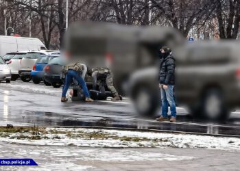 CBŚP zatrzymało 15 osób (16 osób objęto zarzutami) podejrzanych o wyłudzenie podatku VAT w zakresie usług transportowych i reklamowych / CBŚP