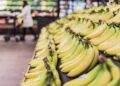 Koktajl bananowo-selerowy z dodatkiem matchy - Radio Kielce pixabay.com