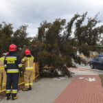 19.02.2022. Skutki wichury w regionie / KP PSP Skarżysko