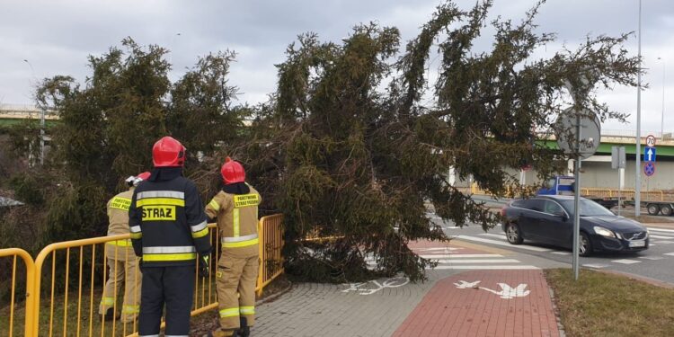 19.02.2022. Skutki wichury w regionie / KP PSP Skarżysko