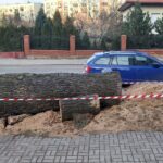 Kielce, ul. Turystyczna. Wycięcie chronionego drzewa / słuchacz Radia Kielce