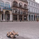 Kuba / Mirosław Lubarski