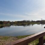 29.10.2019. Końskie. Odnowiony staw w Starym Młynie / Magdalena Galas-Klusek / Radio Kielce