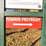 13.02.2022. Piła. Okolice zbiornika wodnego / Magdalena Galas-Klusek / Radio Kielce