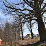 13.02.2022. Piła. Okolice zbiornika wodnego / Magdalena Galas-Klusek / Radio Kielce