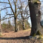 13.02.2022. Piła. Okolice zbiornika wodnego / Magdalena Galas-Klusek / Radio Kielce