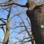 13.02.2022. Piła. Okolice zbiornika wodnego / Magdalena Galas-Klusek / Radio Kielce