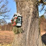 13.02.2022. Piła. Okolice zbiornika wodnego / Magdalena Galas-Klusek / Radio Kielce