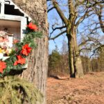 13.02.2022. Piła. Okolice zbiornika wodnego / Magdalena Galas-Klusek / Radio Kielce