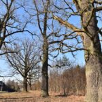 13.02.2022. Piła. Okolice zbiornika wodnego / Magdalena Galas-Klusek / Radio Kielce