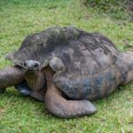 Seszele / Przemysław Wiktorczyk