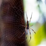 Seszele / Przemysław Wiktorczyk