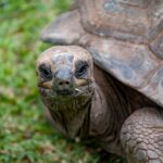 Seszele / Przemysław Wiktorczyk