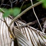 Seszele / Przemysław Wiktorczyk