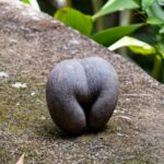 Seszele / Przemysław Wiktorczyk