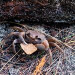 Seszele / Przemysław Wiktorczyk