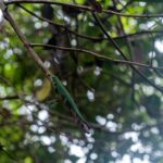 Seszele / Przemysław Wiktorczyk